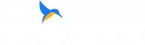 cyberkingfisher logo in white